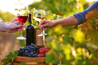 Wine Tasting in Gabala